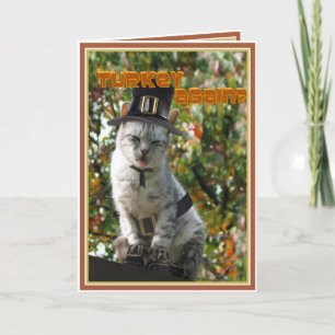 KALKOEN ALWEER? Thanksgiving Pilgrim Kat Feestdagen Kaart
