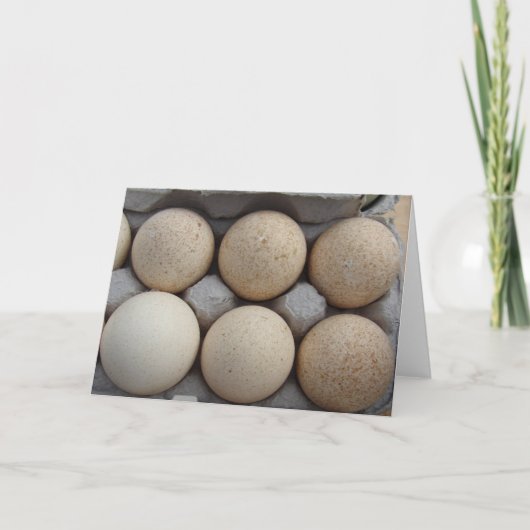 kalkoeneieren kaart (Voorkant)