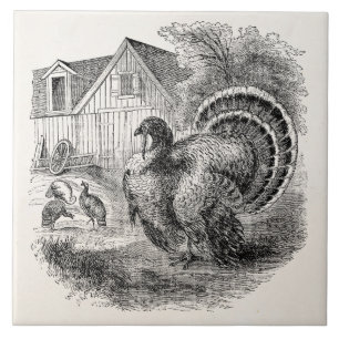  kalkoenen - gepersonaliseerde Barn Turkey Birds Tegeltje