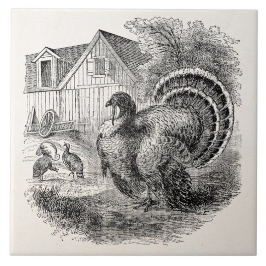  kalkoenen - gepersonaliseerde Barn Turkey Birds Tegeltje (Voorkant)
