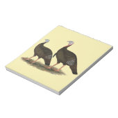 Kalkoenen in het oostelijke wilde haar notitieblok (Gedraaid)