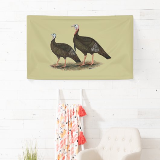 Kalkoenen in het oostelijke wilde haar spandoek (Insitu)