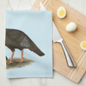 Kalkoenen in het oostelijke wilde haar theedoek (Quarter Fold)