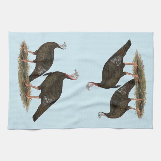 Kalkoenen in het oostelijke wilde haar theedoek (Horizontaal)