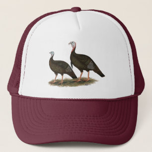Kalkoenen in het oostelijke wilde haar trucker pet