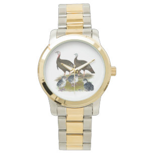 Kalkoenen oostelijke wilde familie horloge