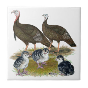 Kalkoenen Oosterse Wilde Familie Tegeltje