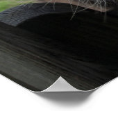 Kalkoenen Poster (Hoek)