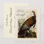 Kalkoense Wild Audubon Vogel Schilderij Kaart (Voorkant / Achterkant)