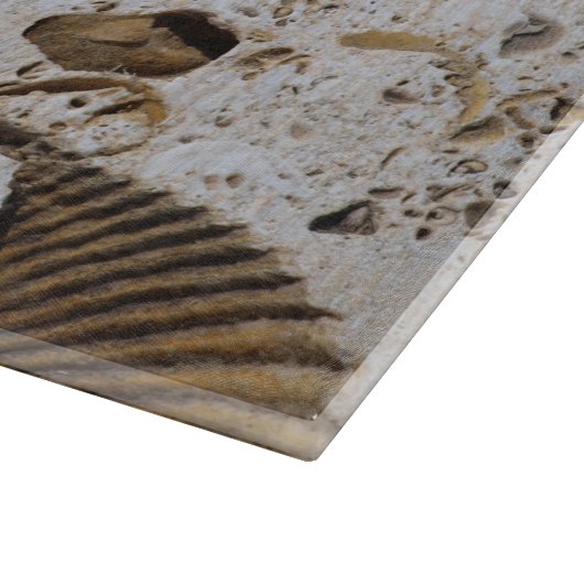 Kalksteen Fossils Snijplank (Hoek)