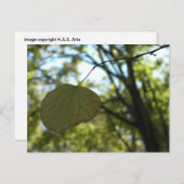 Kalm aan Chartreuse Briefkaart (Voorkant / Achterkant)