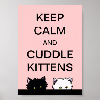 Kalm aan Kittens houden Poster