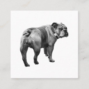 Kalm Bulldog, Zachtembleem Vierkante Visitekaartje