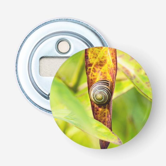 kalm gehecht button flesopener (Voorkant)
