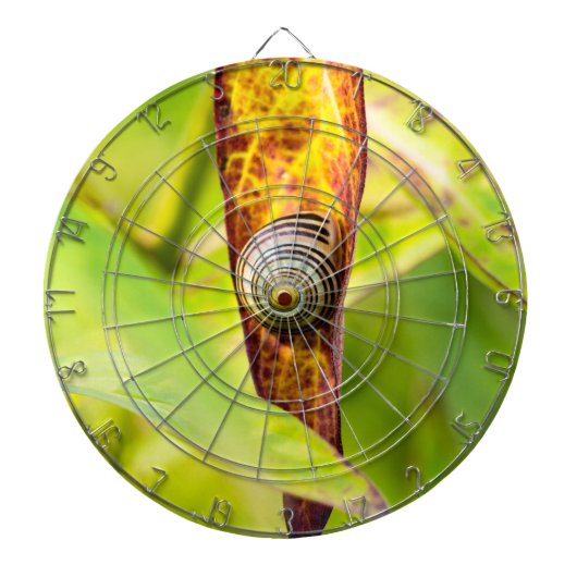 kalm gehecht dartbord (Voorkant)
