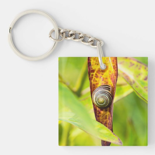 kalm gehecht sleutelhanger (Voorkant)
