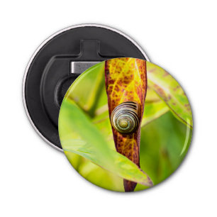 kalm gehechtheid button flesopener