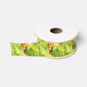 kalm gehechtheid grosgrain lint