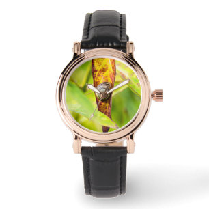 kalm gehechtheid horloge