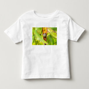 kalm gehechtheid kinder shirts