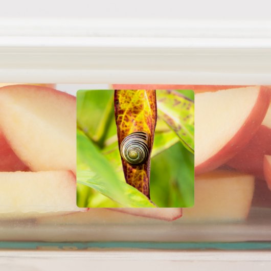 kalm gehechtheid labels (Aangebracht)