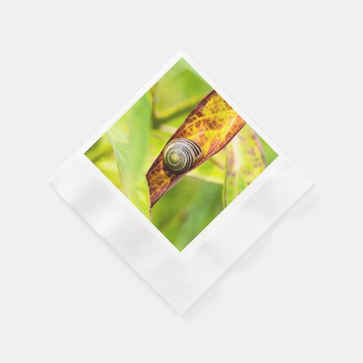 kalm gehechtheid servet (Hoek)