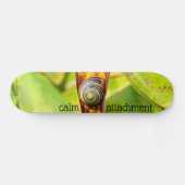 kalm gehechtheid skateboard (Horizontaal)