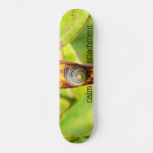 kalm gehechtheid skateboard (Voorkant)