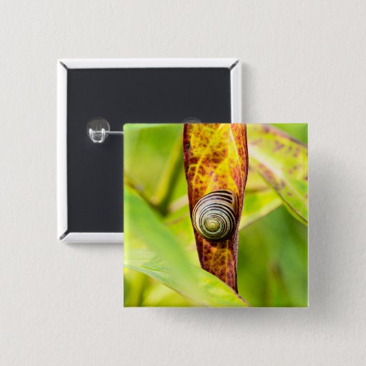 kalm gehechtheid vierkante button 5,1 cm (Voorkant /achterkant)