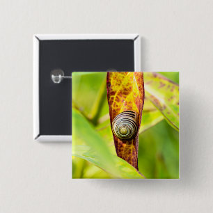 kalm gehechtheid vierkante button 5,1 cm