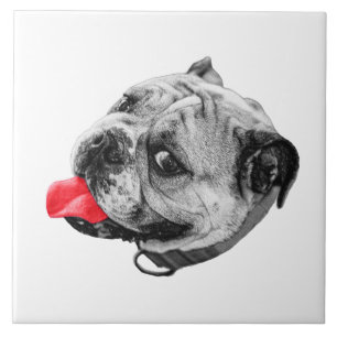 Kalm geheel met warmte tegeltje