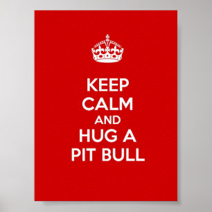 Kalm houden en een Pit Bull vasthouden Poster