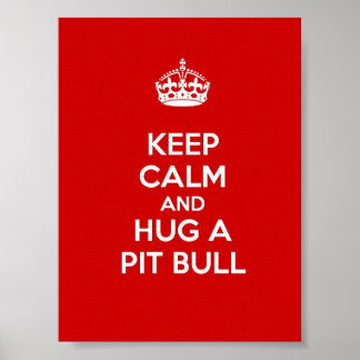 Kalm houden en een Pit Bull vasthouden Poster