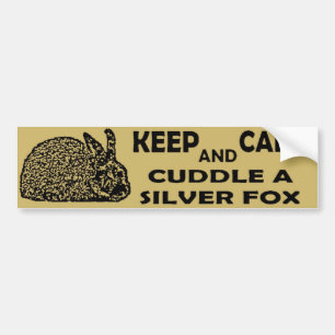 Kalm houden en een zilveren foxkonijn rondstrooien bumpersticker