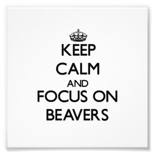 Kalm houden en focussen op Beavers Foto Afdruk