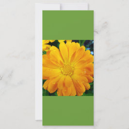 kalm houden en lezen op het gele bladwijzer