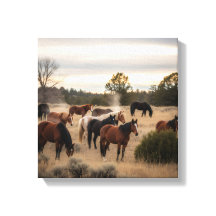 Kalm Kudde bij Schemer – Vredige Paardenweide