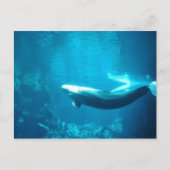 Kalm Zee Briefkaart (Voorkant)