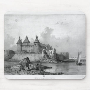 Kalmar Castle Muismat