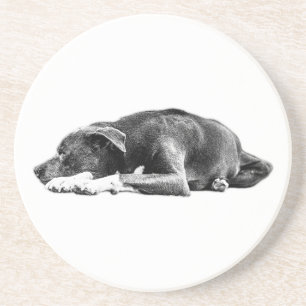 Kalme Pitbull Mix Liggend Pose Art Onderzetter