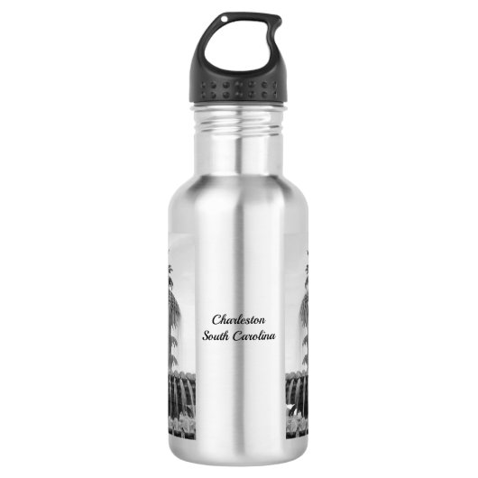 Kalmerende ananas waterfles waterfles (Voorkant)