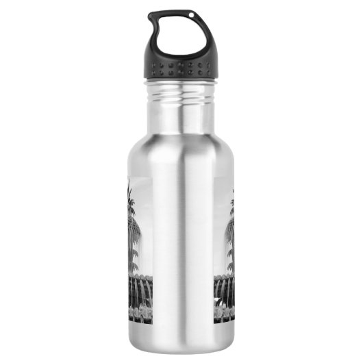 Kalmerende ananas waterfles waterfles (Achterkant)