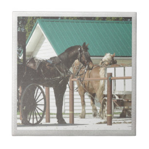 Kalona Amish Horses Tegeltje