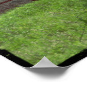 Kalona Barn en Ivy Poster (Hoek)