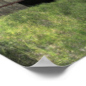 Kalona Barn en Ivy Poster (Hoek)