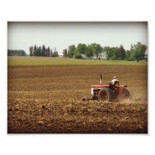 Kalona, Iowa Veldwerk Foto Afdruk