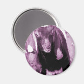 Kalvin 2 magneet (Voorkant / Achterkant)