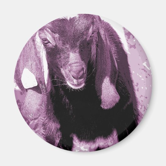Kalvin 2 magneet (Voorkant)