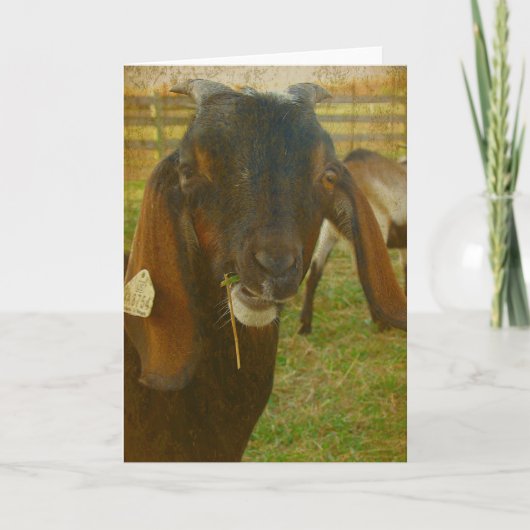 Kalvin Hallo Kaart (Voorkant)