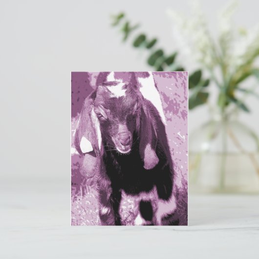 Kalvin in het Paars Briefkaart (Staand voorkant)